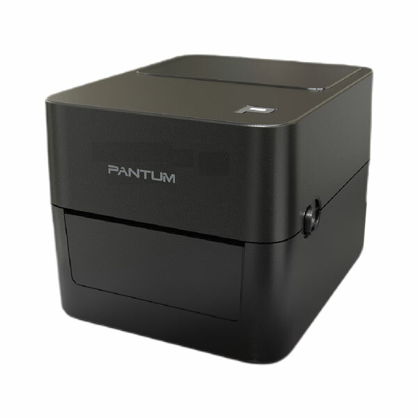 Принтер для этикеток Pantum DT PT-D160, 152 mm/s