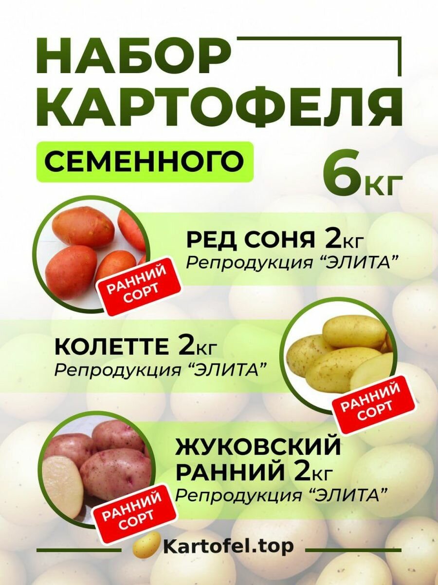 Семена картофеля на посадку набор 6 кг