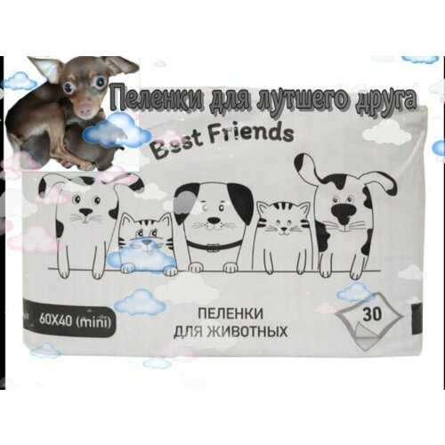 Пеленки для животных Best Friends 60х40 2уп по 30 штук