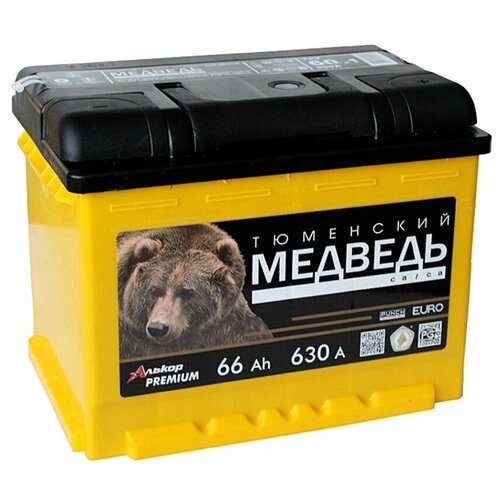 Аккумулятор автомобильный Тюменский медведь 66 А/ч 630 А обр. пол. Евро авто (242х175х190) 6СТ-66VLA