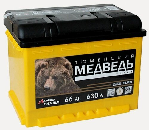 Изображение товара Аккумулятор автомобильный Тюменский медведь 66 А/ч 630 А обр. пол. Евро авто (242х175х190) 6СТ-66VLA