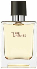 Hermes Туалетная вода Terre d'Hermes, 100 мл