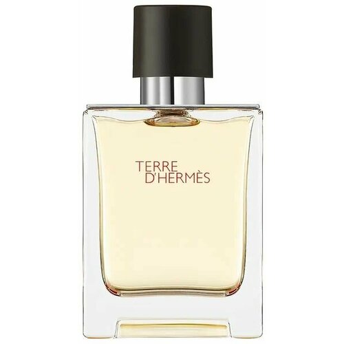 Hermes Туалетная вода Terre d'Hermes, 100 мл парфюмерная вода terre d hermes hermes