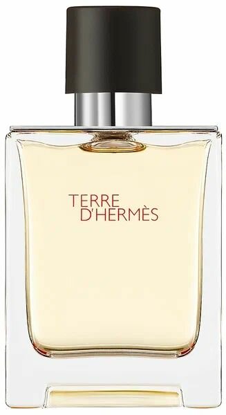 Hermes Туалетная вода Terre d'Hermes, 100 мл