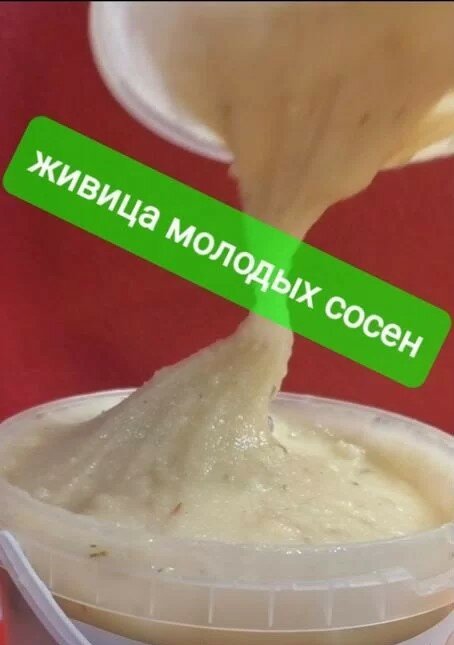 фото Живица сосновая молодых сосен" от бренда "Живые Травы