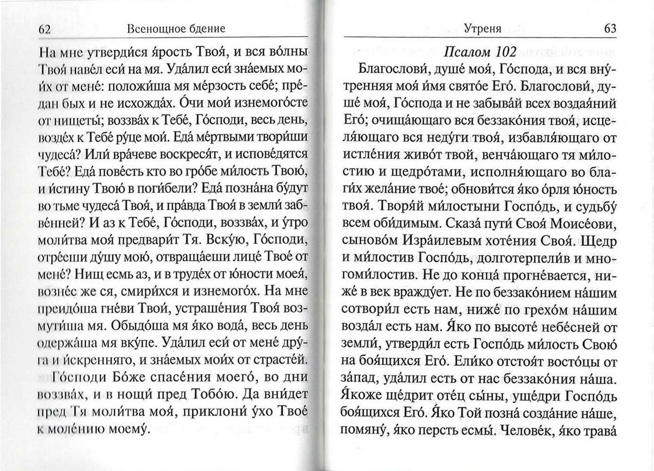 Всенощное бдение. Часы. Божественная Литургия. Карманный формат. Русский шрифт - фото №3