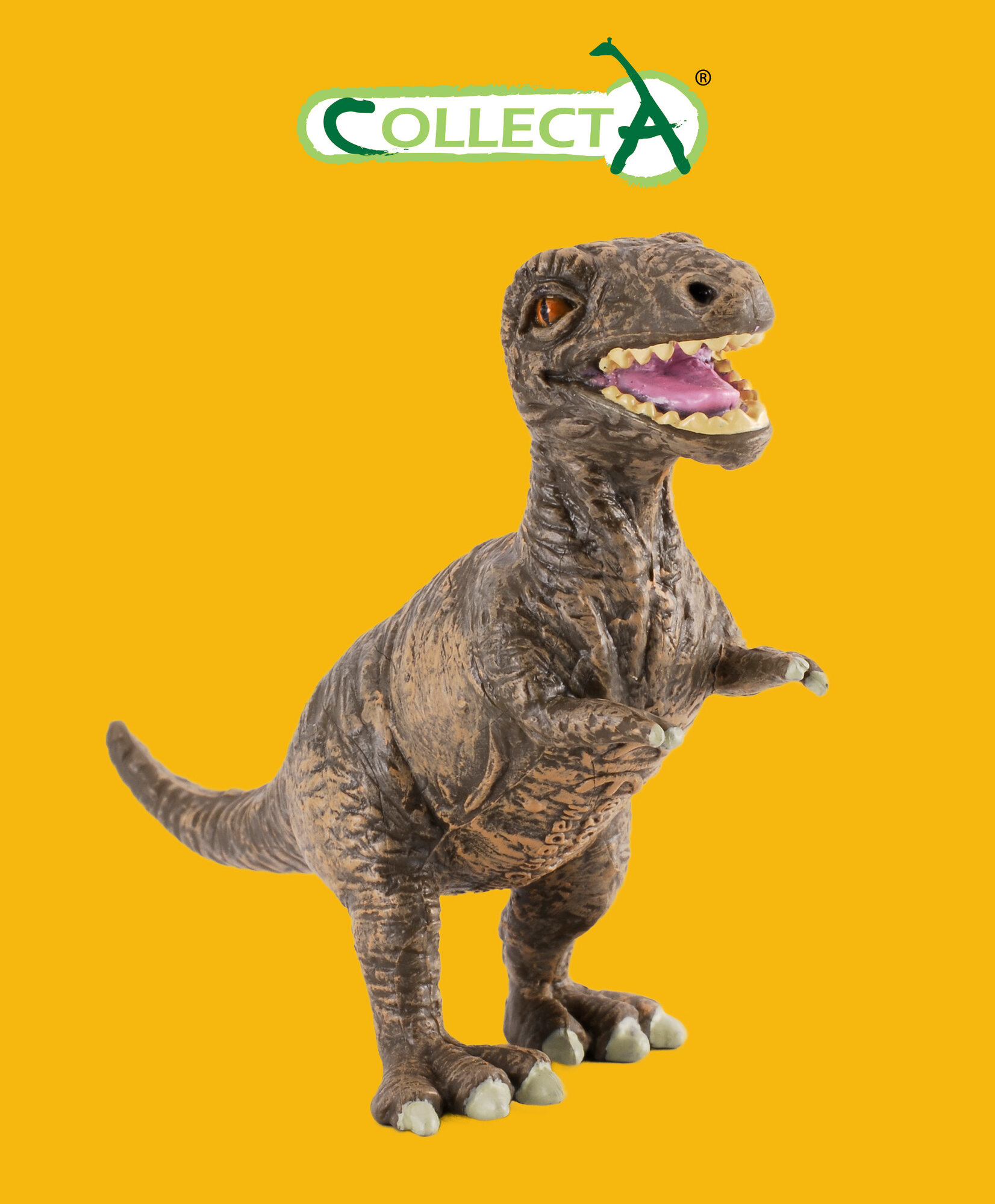 Collecta Детёныш Тираннозавра, S - фото №2