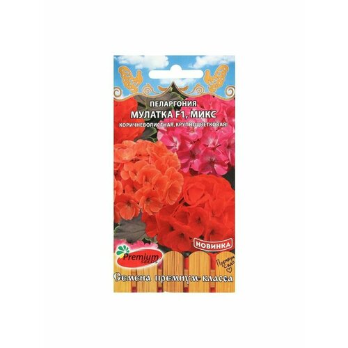 Семена цветов Пеларгония Мулатка, микс, крупноцветковая пеларгония крупноцветковая венецианская роза 5 шт