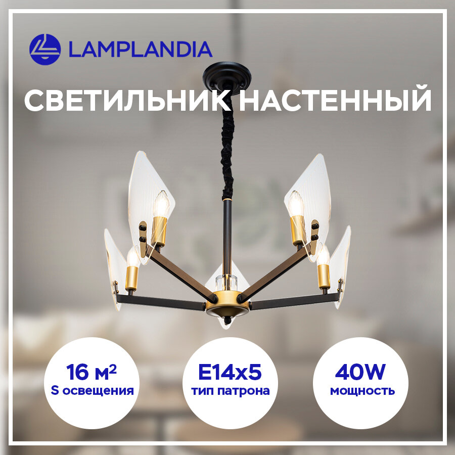 Люстра Lamplandia L1471, 5 ламп, 17 м², цвет черный/бесцветный - фото №13