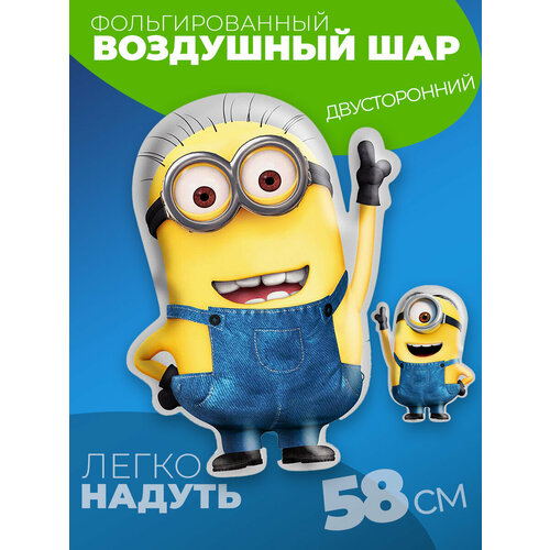 Шар Миньон черный, белый, синий, коричневый, желтый