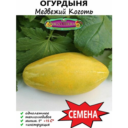 Семена Огурдыня 