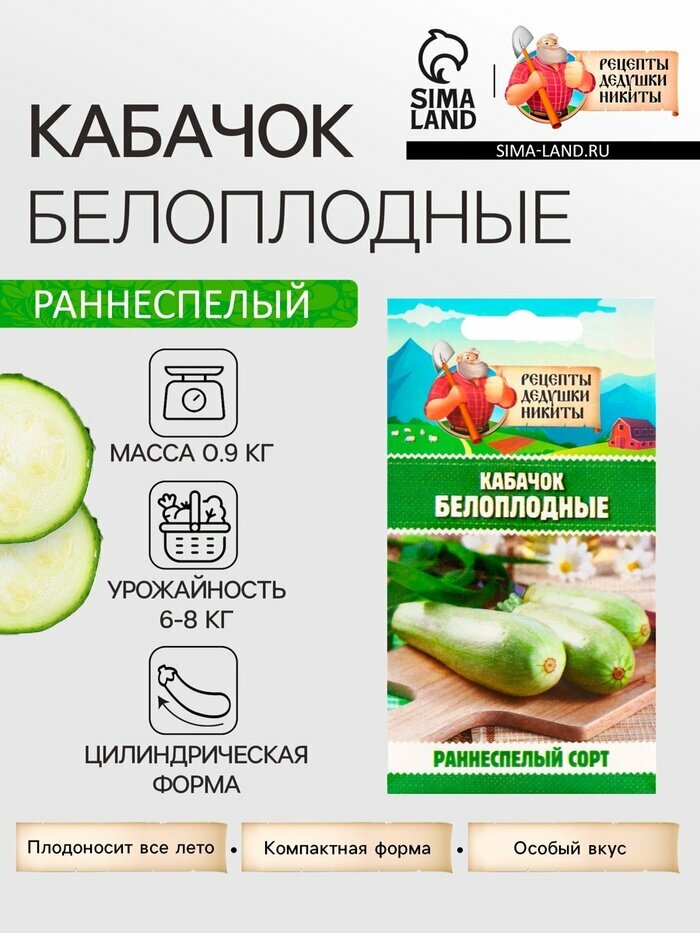 Семена Кабачок 
