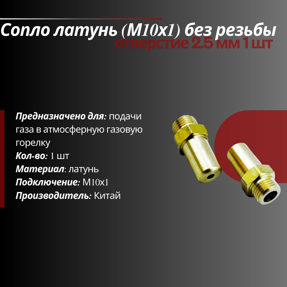 Сопло латунь (М10х1) без резьбы отверстие 2.5 мм: 2 шт