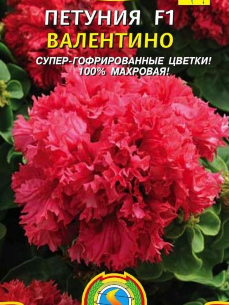Семена Петуния F1 Валентино 10драже в пробирке Плазменные семена