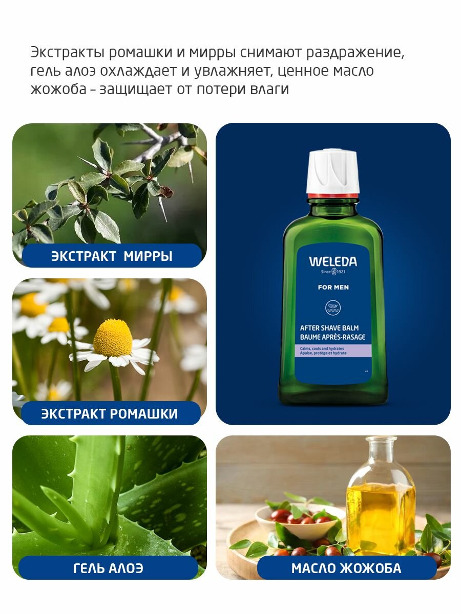 Weleda Мужской Бальзам после бритья, для всех типов кожи, 100 мл. — фото 1