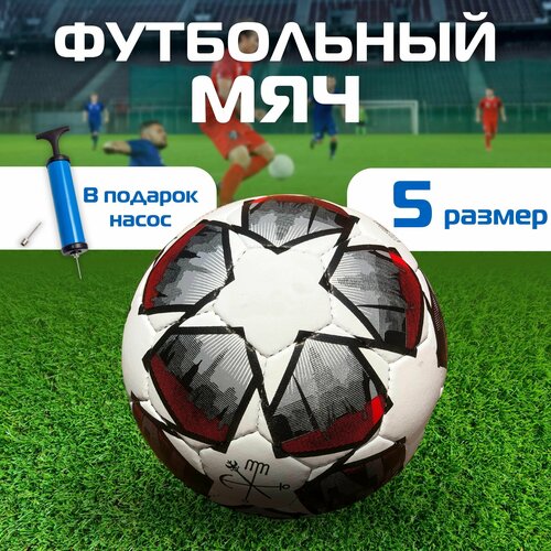   UCL Pro Sala St. Petersburg Football  5,    , 