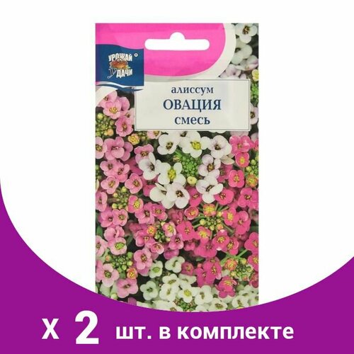 Семена цветов Цв Алиссум 'Овация', смесь,0,1 гр (2 шт)