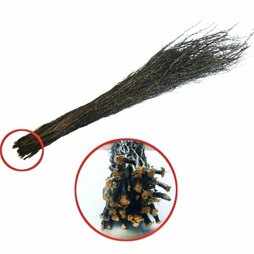 Чилиговая метла лето 6539 800₽