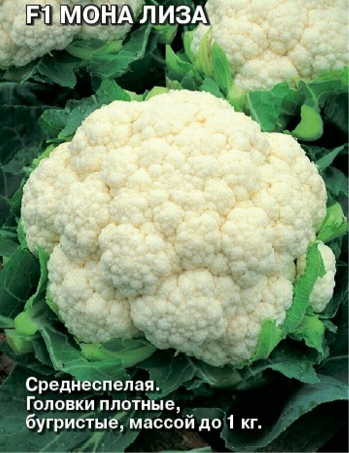 Семена Капуста цветная F1 Мона Лиза