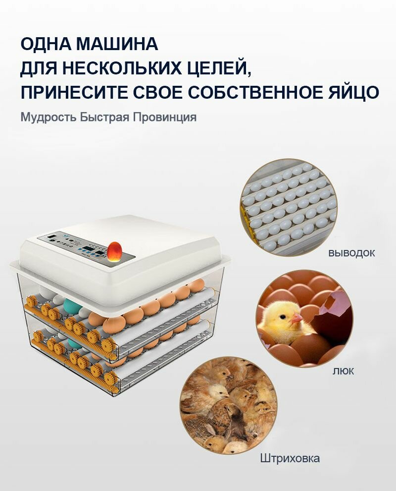 36 яиц, Автоматический интеллектуальный домашний инкубатор для яиц, Регулирование температуры и влажности, овоскопом, автоповоротом, AC220V/DC12V, двойной источник питания