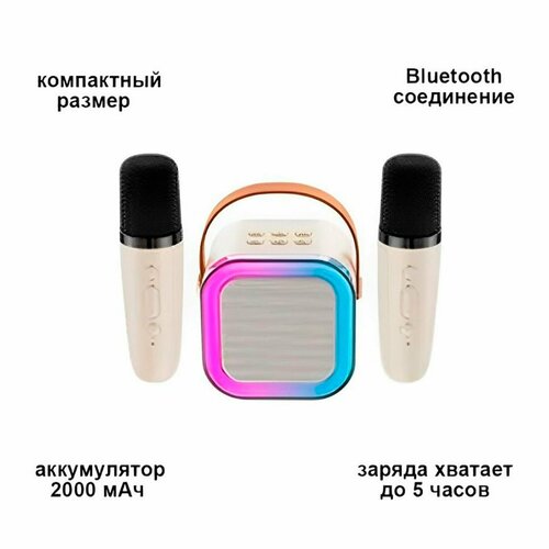 Портативная Bluetooth колонка с 2 микрофонами