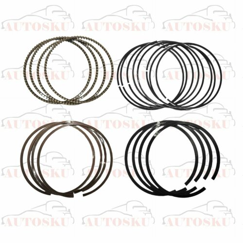 Поршневые кольца Дэу Нексия n100, Дэу Нексия n150, Шевроле Ланос, DAEWOO Nexia, CHEVROLET Lanos (комплект 20шт) (0,25)