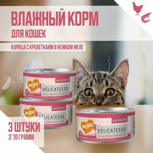 Влажный дополнительный корм Мнямс для кошек, Курица с креветками нежном желе, 70 г х 3шт