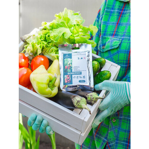 Биопрепарат Боверин от насекомых вредителей от личинок 50 г