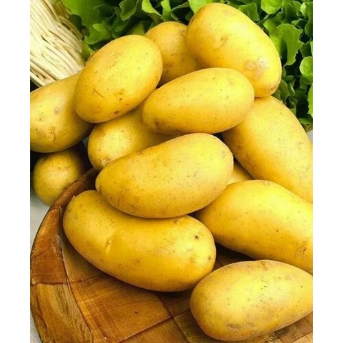 Семенной селекционный картофель Колетте Суперэлита 2 кг семенной картофель колетте 2 кг
