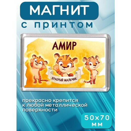 Магнит Храбрый Амир 181₽