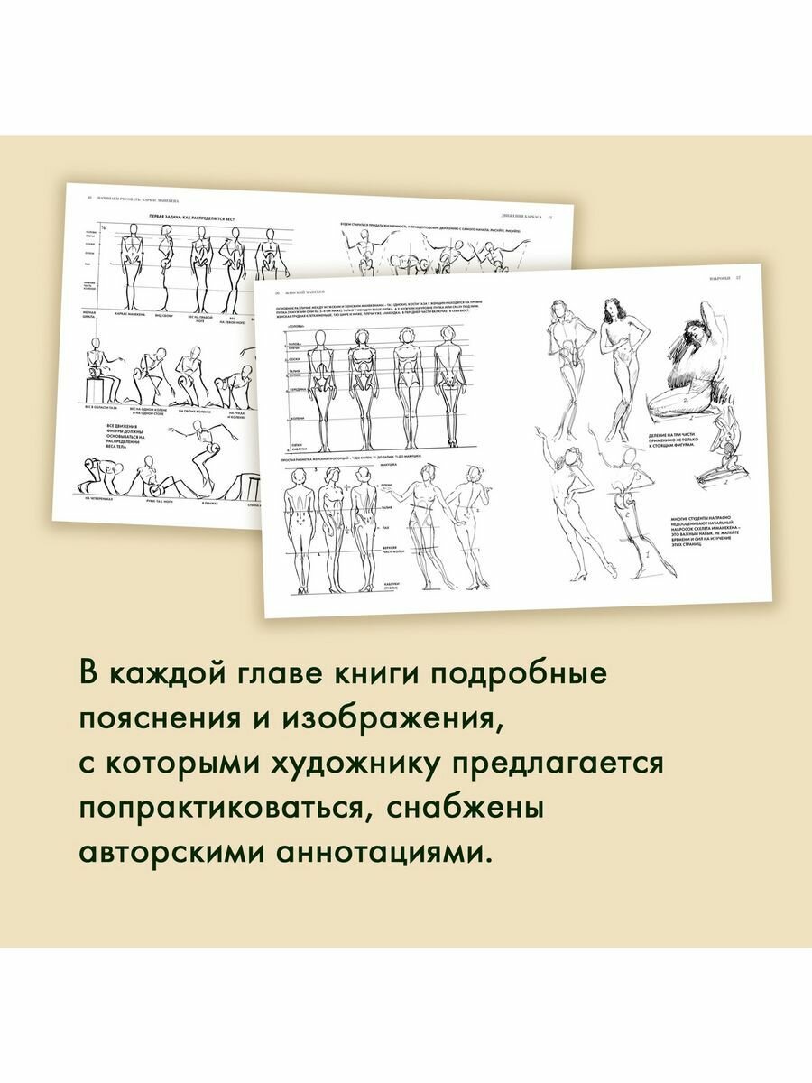 Рисование фигуры (Лумис Эндрю) - фото №17