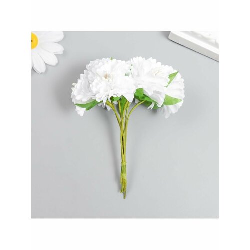 Цветы для декорирования Астра белая 10 см