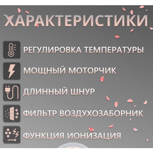 Фен Картинка 329900₽