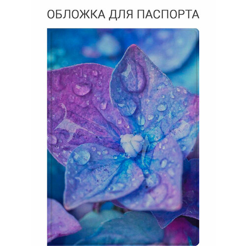 фото Обложка для паспорта slvgo, голубой, розовый, белый