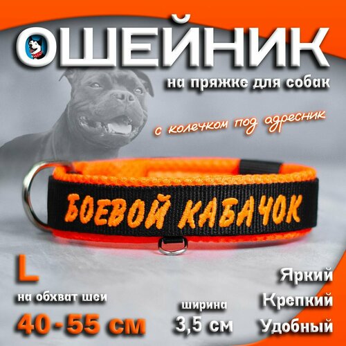 Ошейник для собак Buddy team на пряжке, с вышивкой боевой кабачок, ширина 3,5 см, с мягким подкладом для средних и крупных пород, размер L