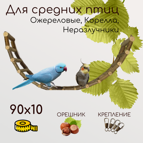 Изображение товара Лесенка деревянная для попугаев и птиц 90х10 см