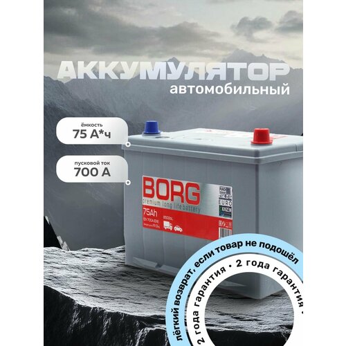 Аккумулятор автомобильный BORG Premium Asia 60B24L 55 А*ч 238/127/225 о. п. Обратная полярность