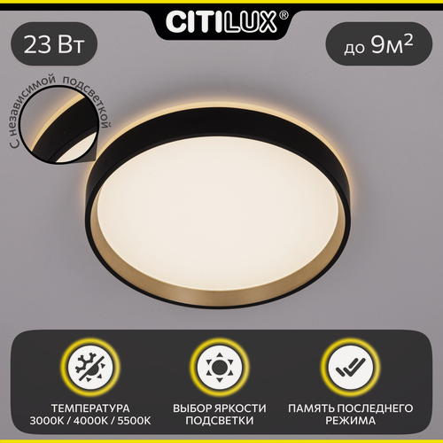 Изображение товара Светильник для дома накладной Citilux ETALON CL750241, цвет арматуры черный