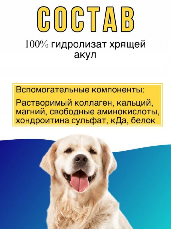 Изображение Хондропротектор ХондроДог 50+ Silver Track 150 кап. Хондро Дог для суставов, для собак, для щенков