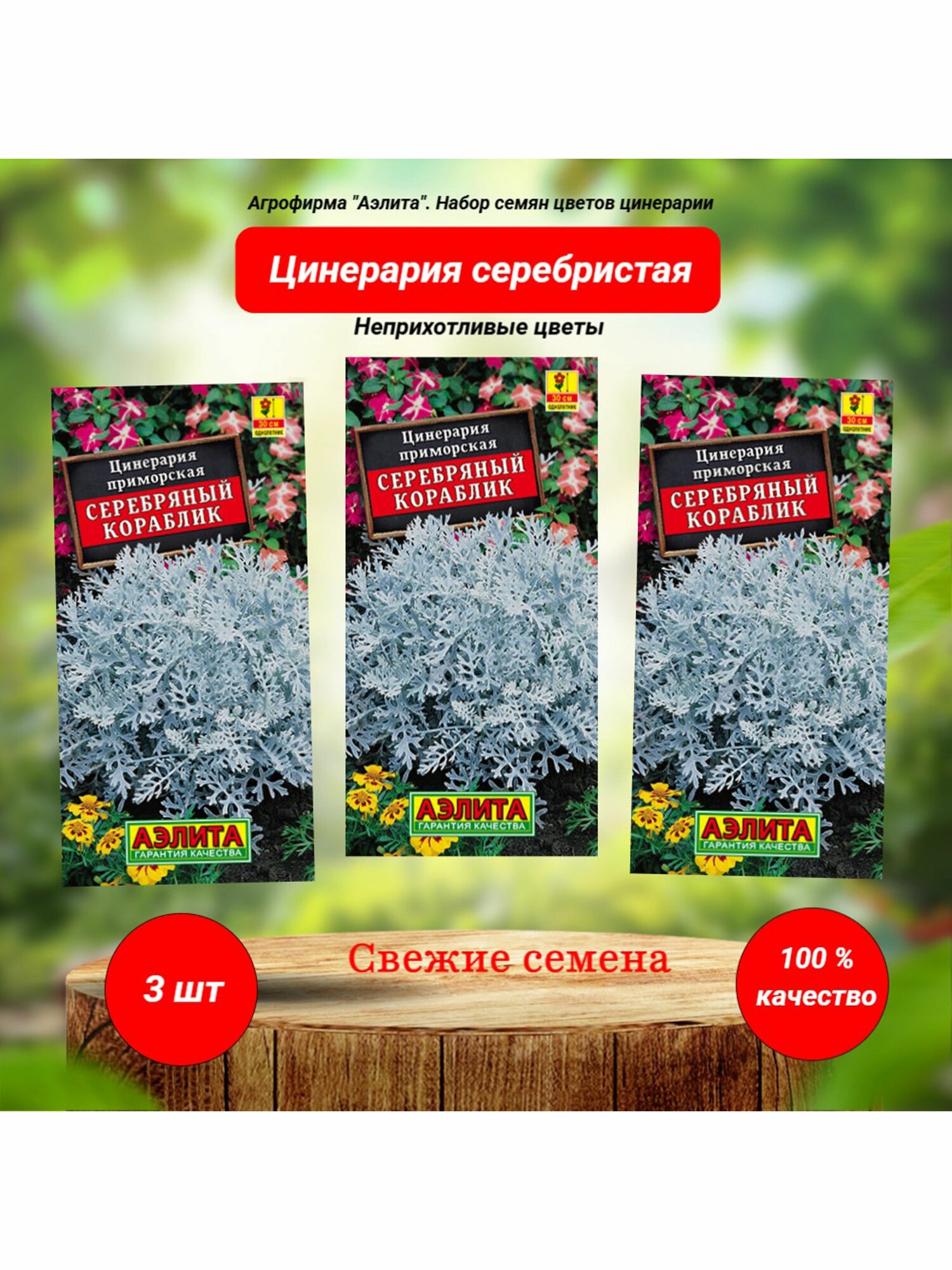 Цинерария приморская серебристая. Набор семян 3 шт. Агрофирма "Аэлита"