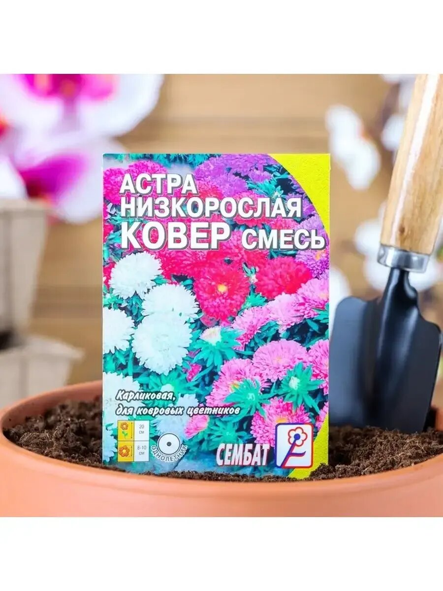 Семена цветов Астра 