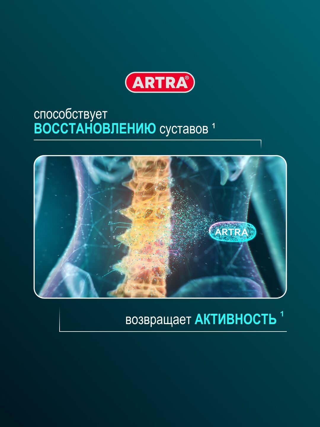 Изображение Артра, таблетки покрытые пленочной оболочкой, 500 мг + 500 мг, 120 шт.