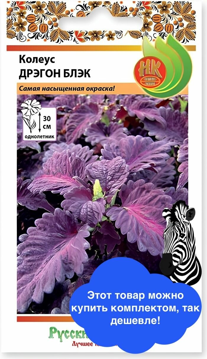 Цветы Колеус Дрэгон Блэк