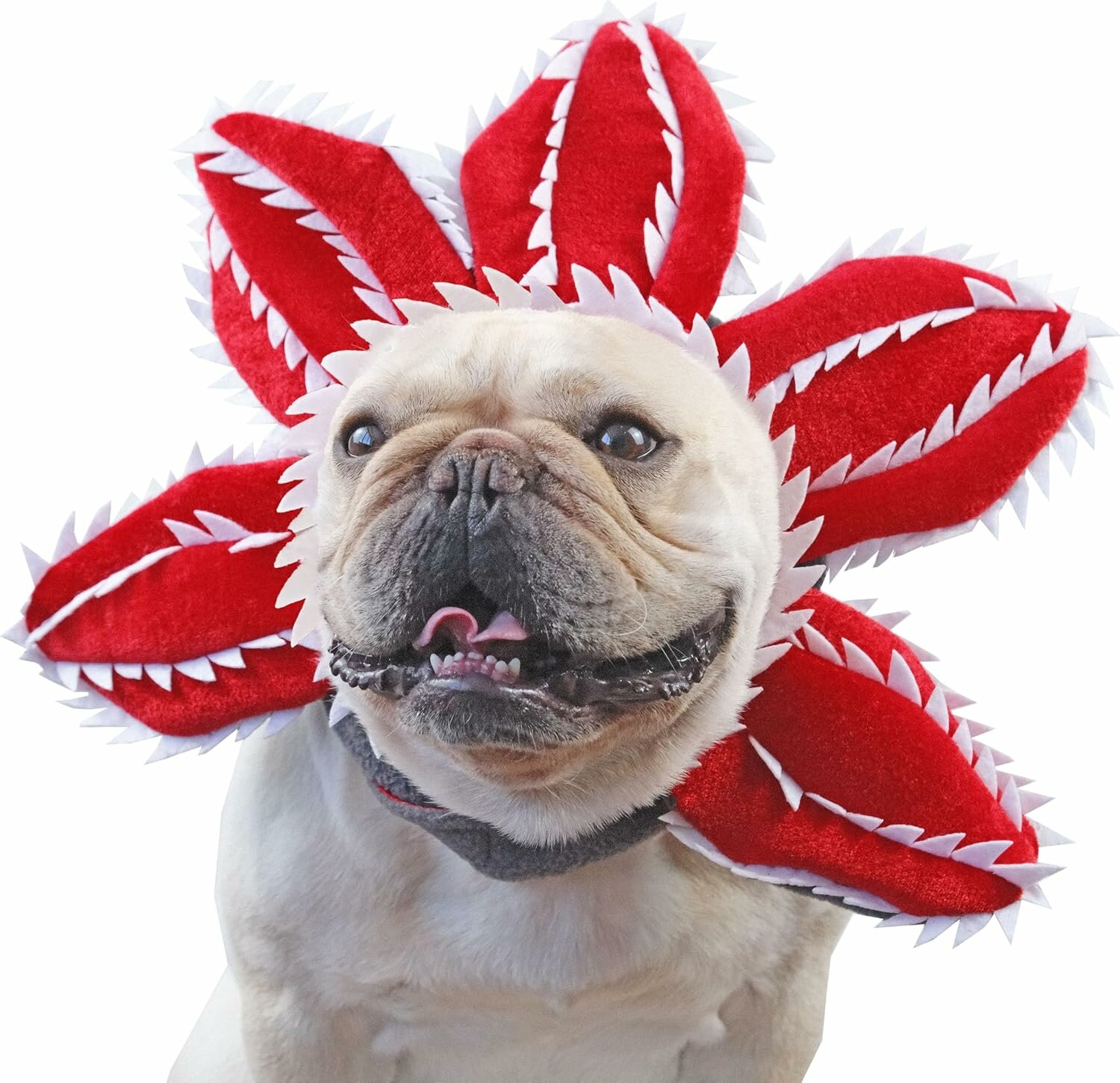 Головной убор для собак "Растение-Пиранья" - утепленный костюм с ушными клапанами для Хэллоуина и холодной погоды