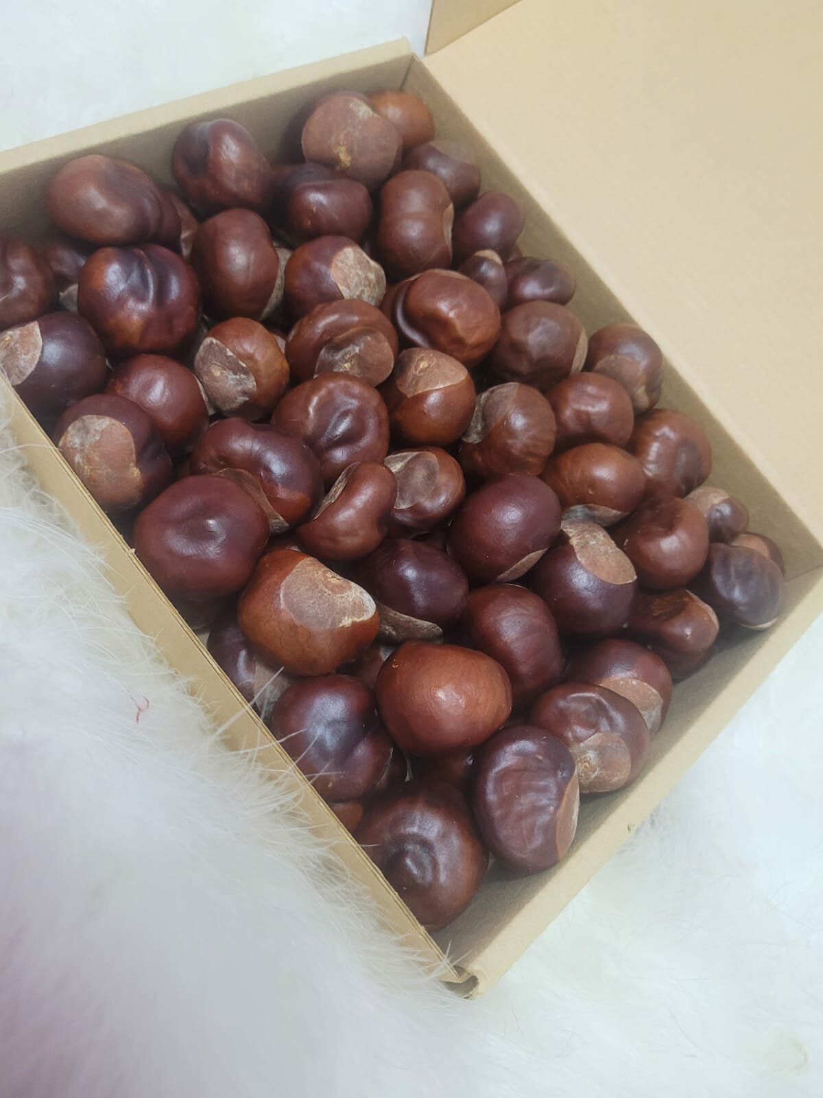 Каштан для рукоделия 25 штук