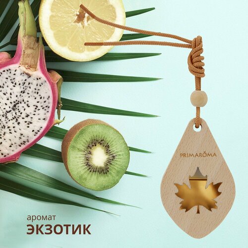 Ароматизатор подвесной мембранный кулон 