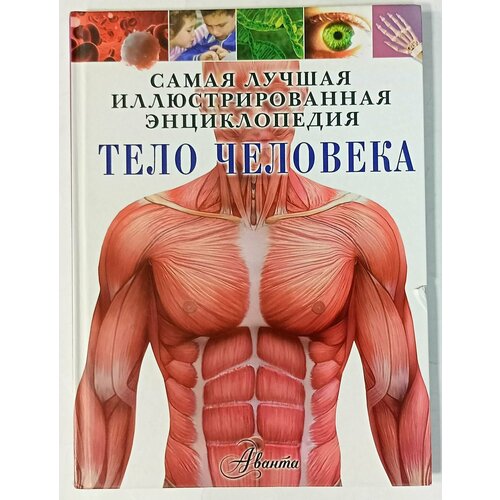 Тело человека игорь сергеев тело человека