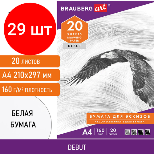 Комплект 29 шт, Папка для рисования А4, 20 л, 160 г/м2, BRAUBERG, 210х297 мм, 