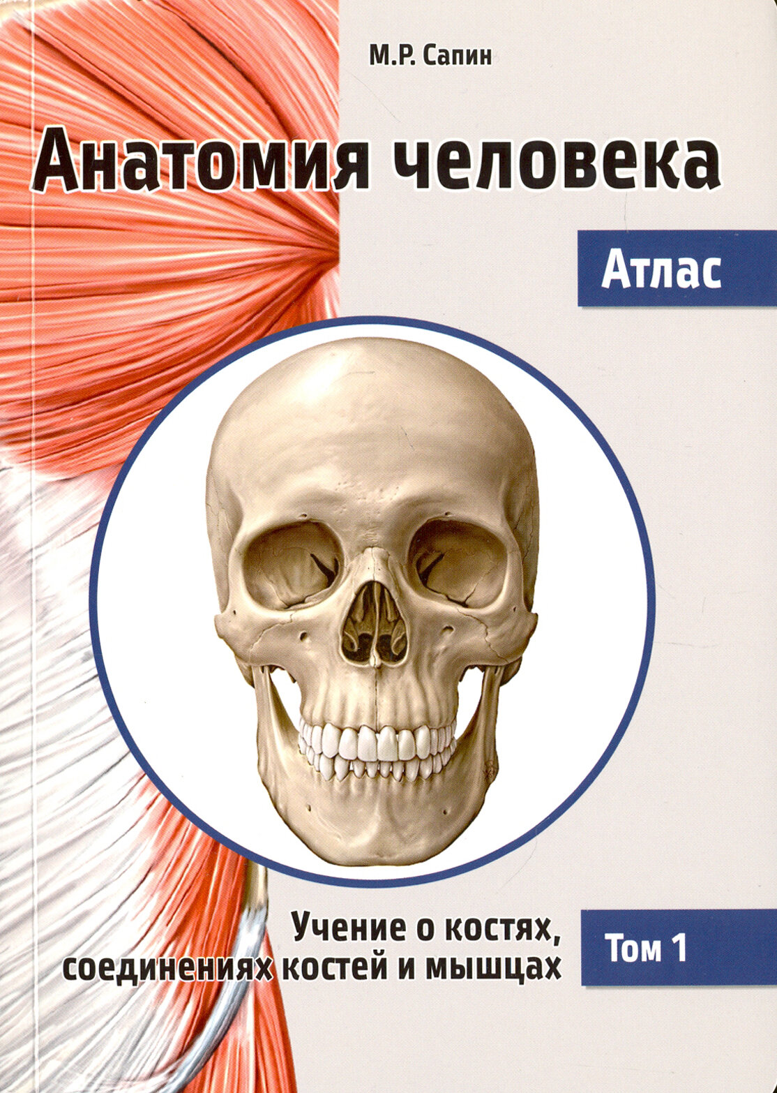 Анатомия человека. Атлас. В 3-х томах. Том 1. Учение о костях, соединениях костей и мышцах - фото №7