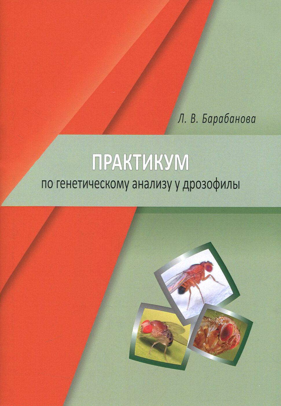 Практикум по генетическому анализу у дрозофилы. Учебно-методическое пособие - фото №3